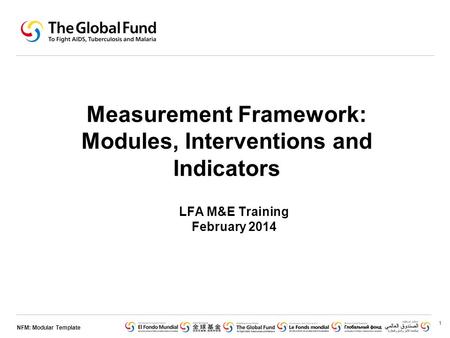NFM: Modular Template Measurement Framework: Modules, Interventions and Indicators LFA M&E Training February 2014 1.