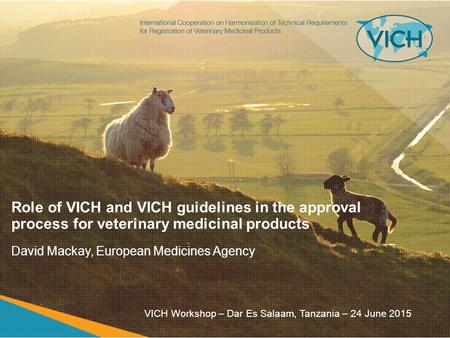 Role of VICH and VICH guidelines in the approval process for veterinary medicinal products David Mackay, European Medicines Agency VICH Workshop – Dar.
