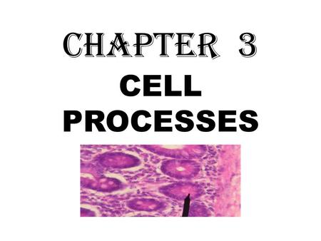 CHAPTER 3 CELL PROCESSES. Chemistry of life Everything around you is made up of matter and energy. Matter- anything that takes up space Energy- can hold.
