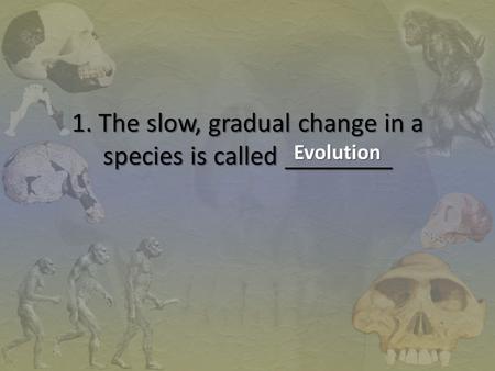 1. The slow, gradual change in a species is called ________ Evolution.