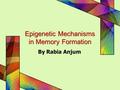 Epigenetic Mechanisms in Memory Formation By Rabia Anjum.