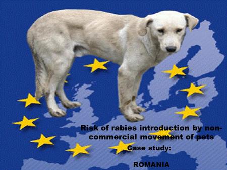 Risk of rabies introduction by non- commercial movement of pets Case study: ROMANIA.
