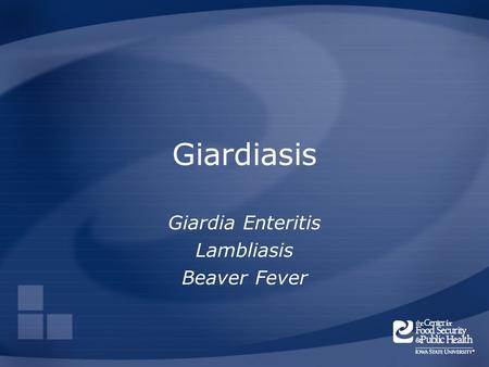 Giardiasis Giardia Enteritis Lambliasis Beaver Fever.