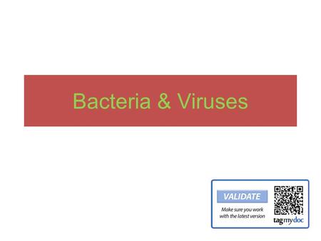 Bacteria & Viruses. What are the characteristics of viruses? Bacteria? What kingdom do each of these belong? Are they living? Why or why not ?