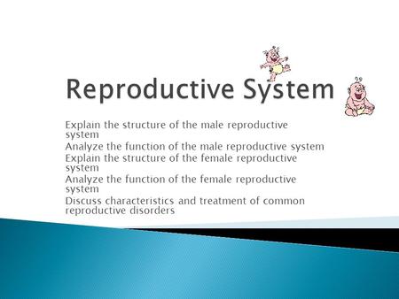 Explain the structure of the male reproductive system Analyze the function of the male reproductive system Explain the structure of the female reproductive.