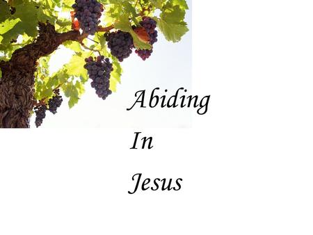 Abiding In Jesus. What is being a christian really about? Trusting Jesus Obeying Jesus Following Jesus Abiding in Jesus Loving God Worshipping God Serving.