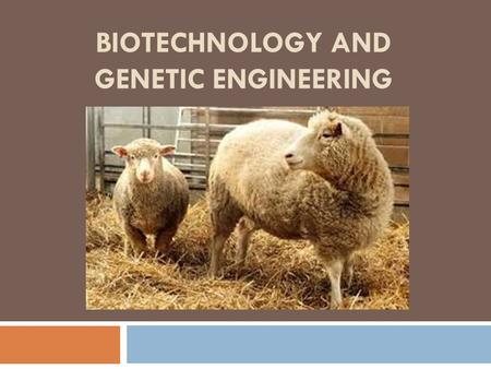 BIOTECHNOLOGY AND GENETIC ENGINEERING. What is Biotechnology?  Biotechnology is the combination of biology and technology.  It has been making many.