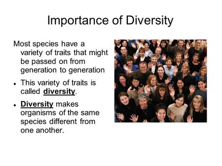 Importance of Diversity Most species have a variety of traits that might be passed on from generation to generation This variety of traits is called diversity.
