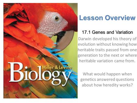 Lesson Overview 17.1 Genes and Variation Darwin developed his theory of evolution without knowing how heritable traits passed from one generation to the.