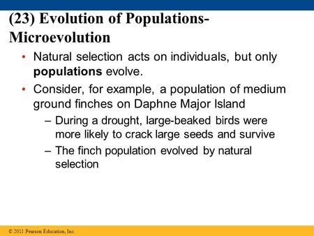 (23) Evolution of Populations- Microevolution Natural selection acts on individuals, but only populations evolve. Consider, for example, a population of.