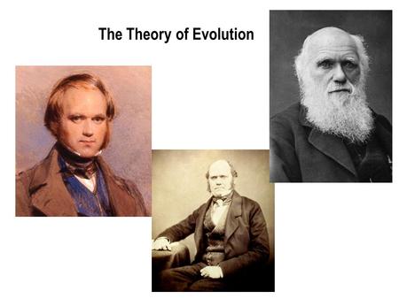 The Theory of Evolution What is Evolution? Evolution is a process by which modern organisms have descended from ancient organisms. It is a change in.