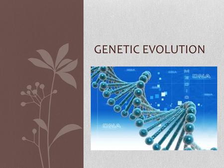 GENETIC EVOLUTION. Gene Pool All genetic information from a population of a specific species.