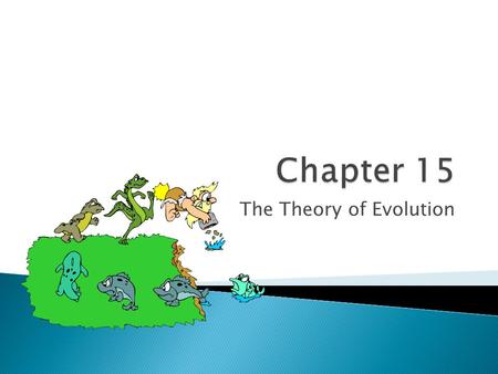 The Theory of Evolution.  Darwin developed the first theory on evolution, which is the basis for modern evolutionary theory ◦ Darwin spent 5 years sailing.