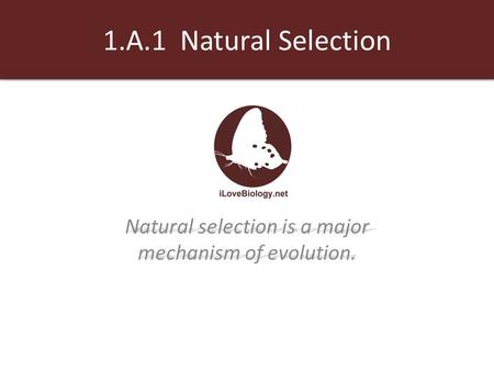 1.A.1 Natural Selection Natural selection is a major mechanism of evolution.