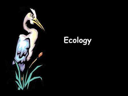 Ecology. What is ecology? Ecology- the scientific study of interactions between organisms and their environments.