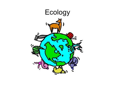Ecology. Study of organisms interactions with the environment (abiotic factors) and each other (biotic factor)