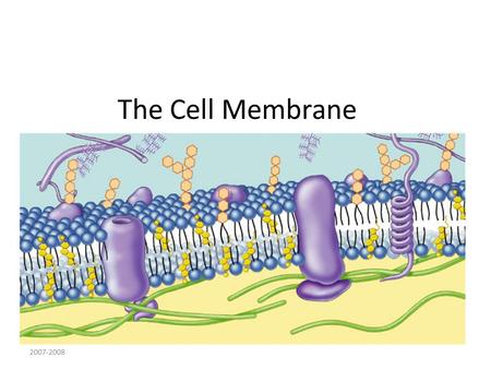 2007-2008 The Cell Membrane Phospholipids Fatty acid Phosphate Phosphate head – hydrophilic Fatty acid tails – hydrophobic Arranged as a bilayer “repelled.