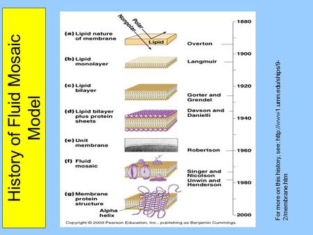History of Fluid Mosaic Model For more on this history, see:  2/membrane.htm.