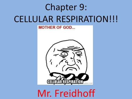 Chapter 9: CELLULAR RESPIRATION!!! Mr. Freidhoff.