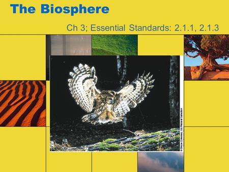The Biosphere Ch 3; Essential Standards: 2.1.1, 2.1.3.
