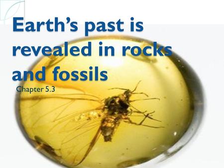 Earth’s past is revealed in rocks and fossils