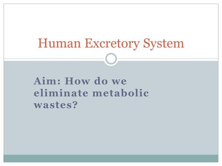 Aim: How do we eliminate metabolic wastes? Human Excretory System.
