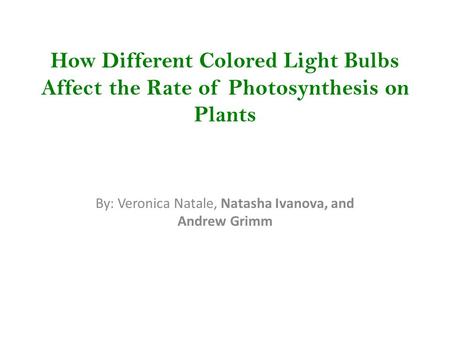 How Different Colored Light Bulbs Affect the Rate of Photosynthesis on Plants By: Veronica Natale, Natasha Ivanova, and Andrew Grimm.