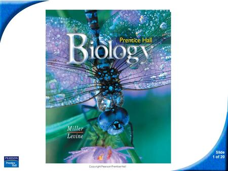 Slide 1 of 20 Copyright Pearson Prentice Hall Biology.