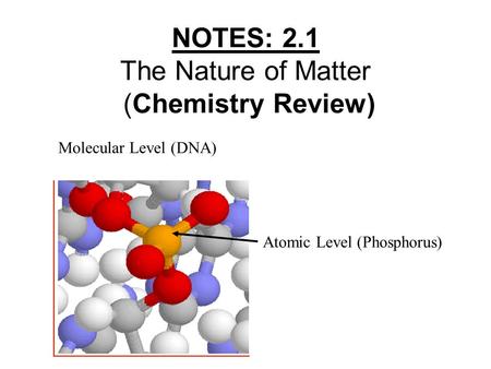NOTES: 2.1 The Nature of Matter (Chemistry Review) Atomic Level (Phosphorus) Molecular Level (DNA)