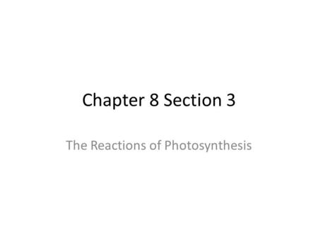 The Reactions of Photosynthesis