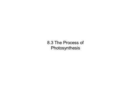Lesson Overview Lesson Overview The Process of Photosynthesis 8.3 The Process of Photosynthesis.