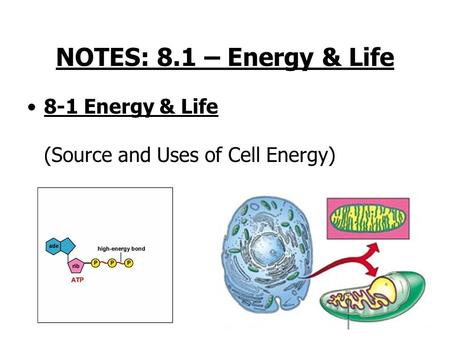 NOTES: 8.1 – Energy & Life 8-1 Energy & Life (Source and Uses of Cell Energy)