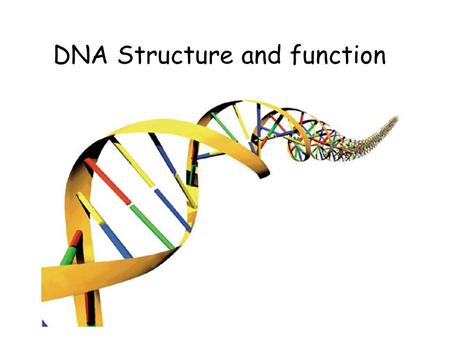 DNA Structure and function. Journey into the cell.