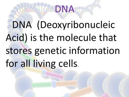 DNA DNA (Deoxyribonucleic Acid) is the molecule that stores genetic information for all living cells.