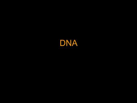 DNA. DNA is the organic molecule Deoxyribonucleic Acid The function of DNA is as a molecule that permanently stores the information or instructions necessary.