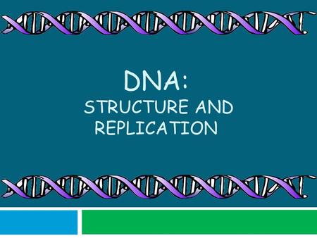 DNA: STRUCTURE AND REPLICATION. DNA: The Code of Life  DNA is the molecule that contains all of the hereditary material for an organism  It is found.