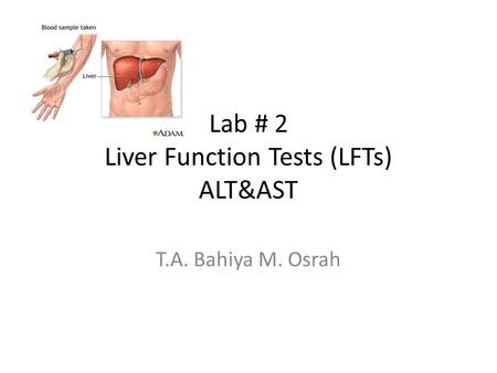 Lab # 2 Liver Function Tests (LFTs) ALT&AST T.A. Bahiya M. Osrah.