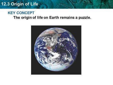 12.3 Origin of Life KEY CONCEPT The origin of life on Earth remains a puzzle.