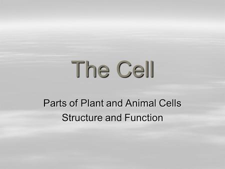 Parts of Plant and Animal Cells Structure and Function