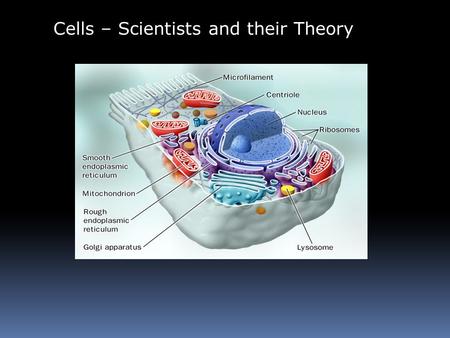 Cells – Scientists and their Theory. Cells are the basic unit of life. All living things are made of cells. Living organisms are very organized. The level.