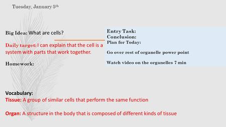 Tuesday, January 5 th Big Idea: What are cells? Daily target: I can explain that the cell is a system with parts that work together. Homework: Entry Task: