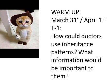 WARM UP: March 31 st / April 1 st T-1: How could doctors use inheritance patterns? What information would be important to them?