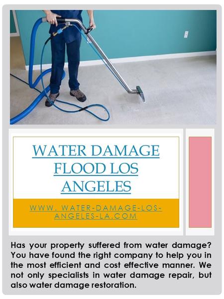 WWW. WATER-DAMAGE-LOS- ANGELES-LA.COM WATER DAMAGE FLOOD LOS ANGELES Has your property suffered from water damage? You have found the right company to.