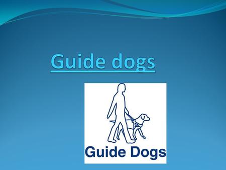 What do you know about guide dogs Guide dogs Guide dog puppies.