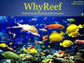 WhyReef North & South Beach Reef/Reef Journal Sara Aldape EDTC 6341.61.