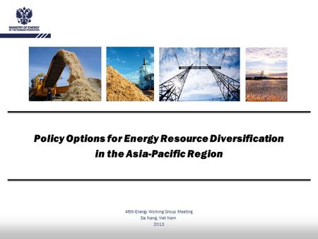 Policy Options for Energy Resource Diversification in the Asia-Pacific Region 46th Energy Working Group Meeting Da Nang, Viet Nam 2013.