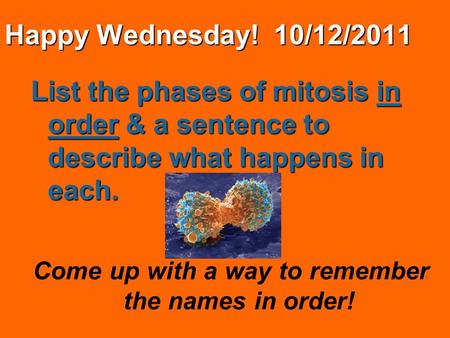 Happy Wednesday! 10/12/2011 List the phases of mitosis in order & a sentence to describe what happens in each. Come up with a way to remember the names.