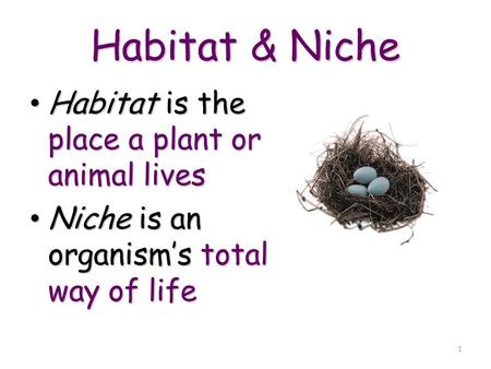 1 Habitat & Niche Habitat is the place a plant or animal lives Habitat is the place a plant or animal lives Niche is an organism’s total way of life Niche.