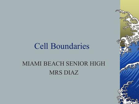 Cell Boundaries MIAMI BEACH SENIOR HIGH MRS DIAZ.