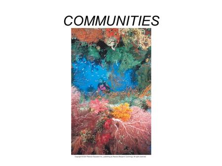 COMMUNITIES. Key Properties of Communities Diversity –Species richness: total # of species –Species diversity: high if no one species predominates Prevalent.